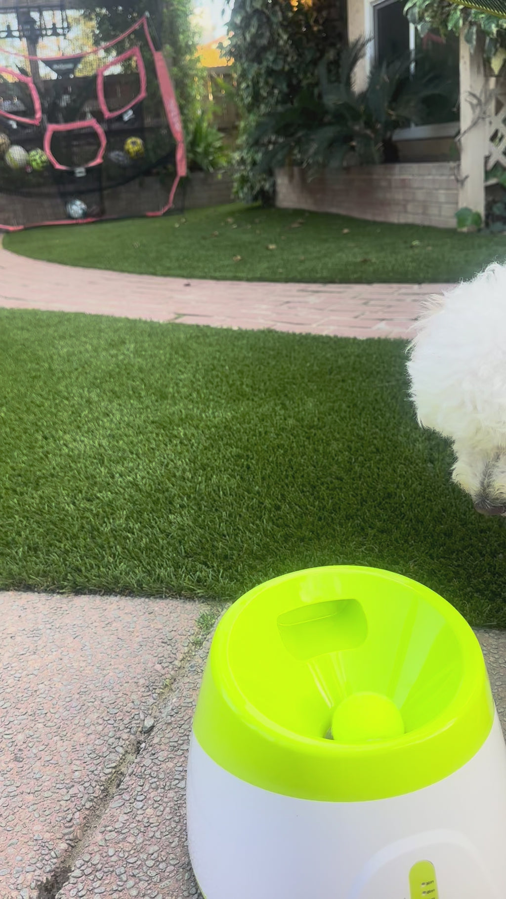 Hully's Pick  🐾 Automatic Fetch Ball Launcher 🎾