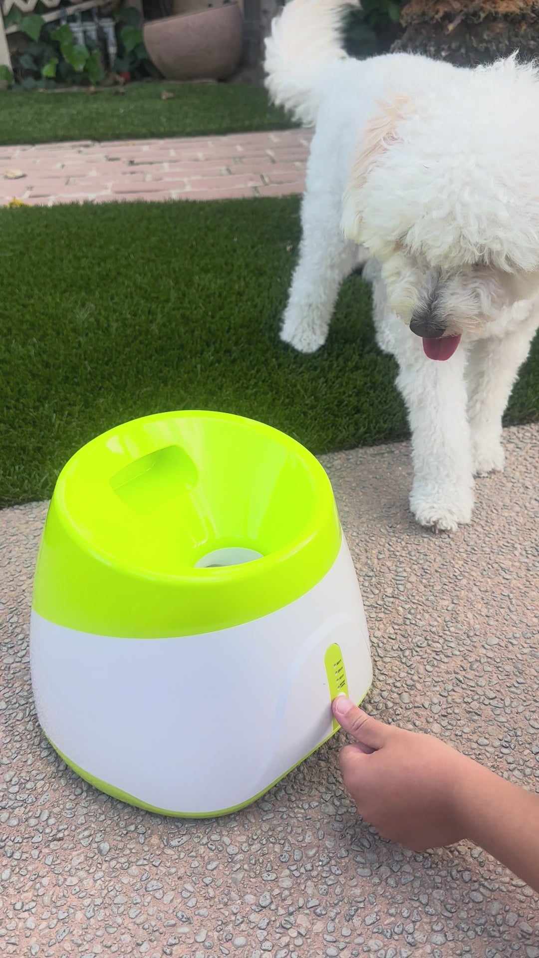 Hully's Pick  🐾 Automatic Fetch Ball Launcher 🎾